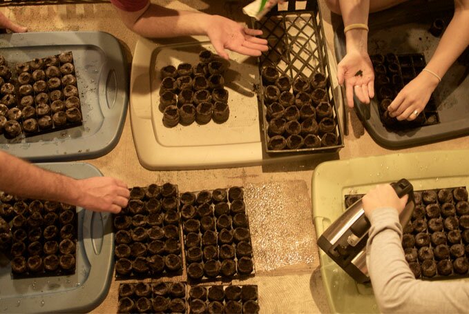 Polynomial-blog-post-seeds
